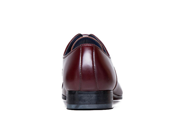 Calzature da uomo in taglia normale con punta, scarpe da uomo, scarpe da adulto marrone con pizzi.